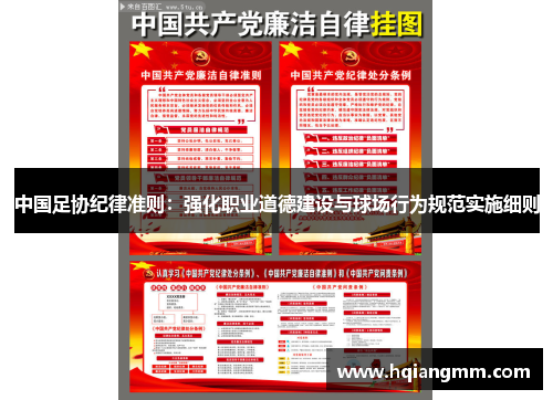 中国足协纪律准则：强化职业道德建设与球场行为规范实施细则