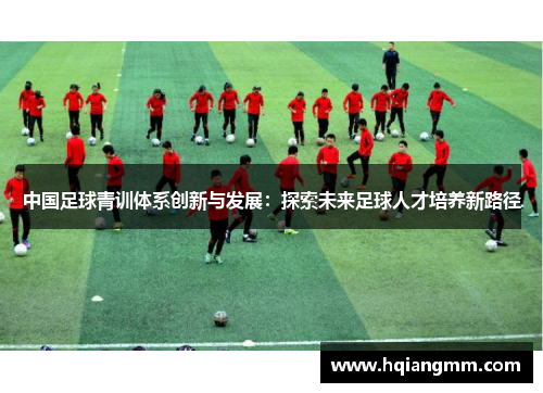 中国足球青训体系创新与发展：探索未来足球人才培养新路径