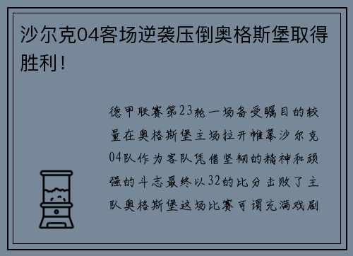 沙尔克04客场逆袭压倒奥格斯堡取得胜利！